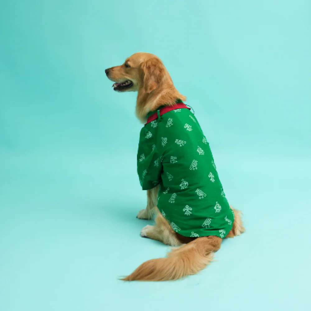 Floof & Co Cotton Patola Print Kurta for Dogs (Green) - Image 3