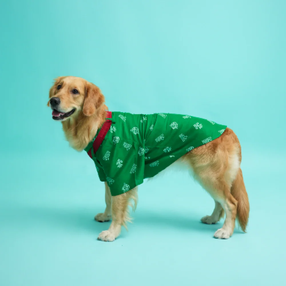 Floof & Co Cotton Patola Print Kurta for Dogs (Green) - Image 4