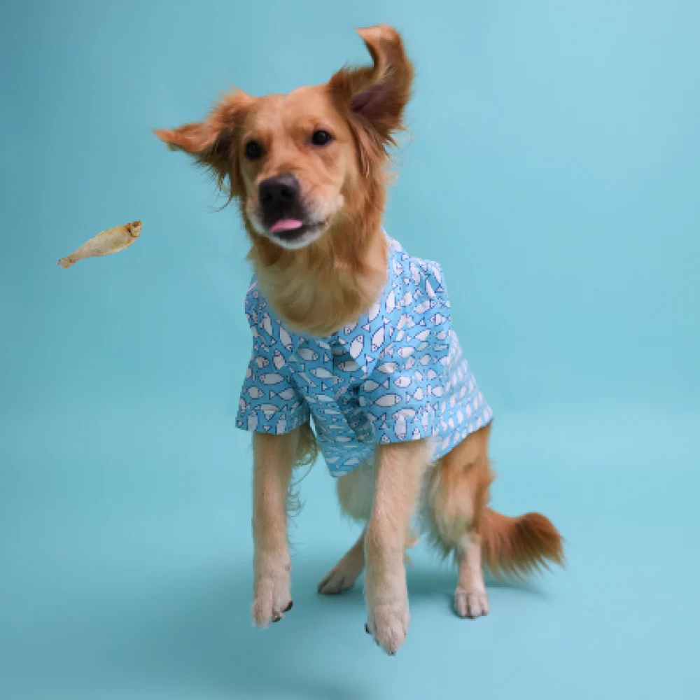 Floof & Co Fish Print Cotton Shirt for Dogs (Blue) - Image 3