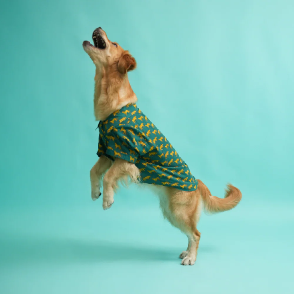 Floof & Co Leapord Print Cotton Shirt for Dogs (Dark Green) - Image 3