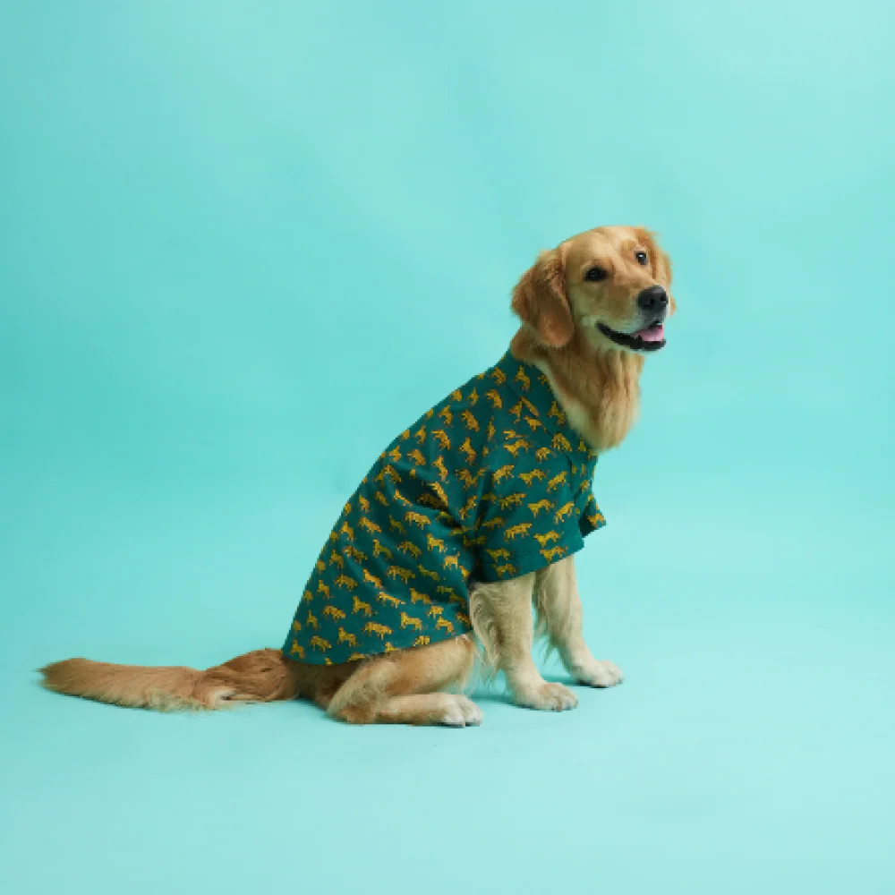 Floof & Co Leapord Print Cotton Shirt for Dogs (Dark Green) - Image 4