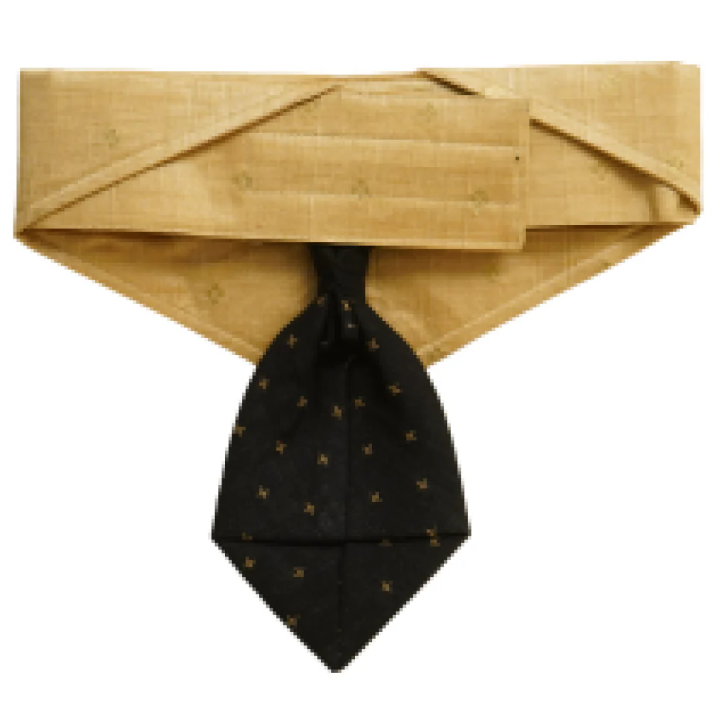 Floof & Co Silk Tie Collar for Dogs (Black & Gold) - Image 2