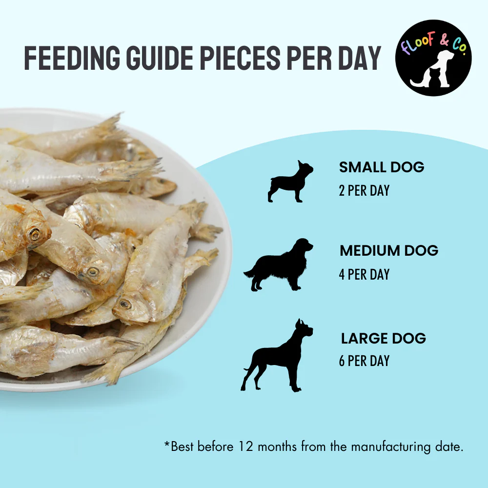 Floof & Co Snappy Sardine Snacks Dog Treats - Image 3