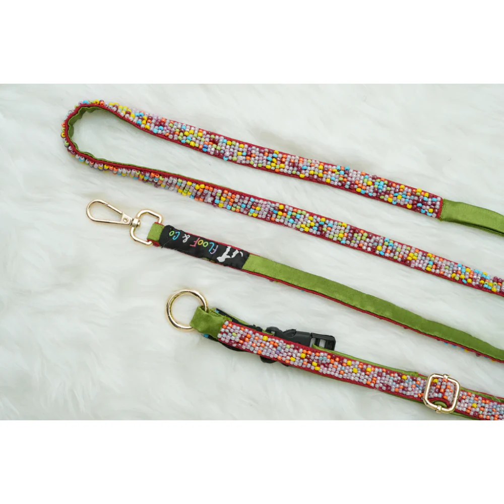 Floof & Co Sprinkles Leash & Collar (Green / Red) - Image 3
