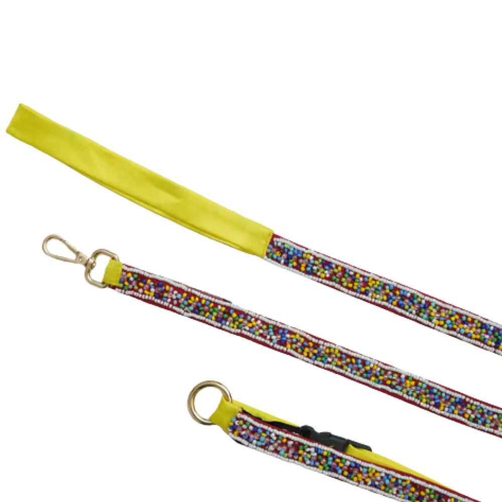 Floof & Co Sprinkles Leash & Collar (Yellow / Red) - Image 2