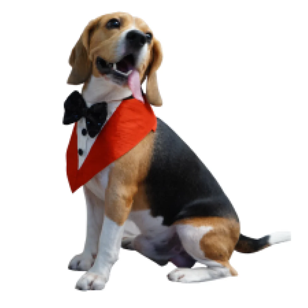 Floof & Co Tux Bandana Triangle for Dogs (Red) - Image 3