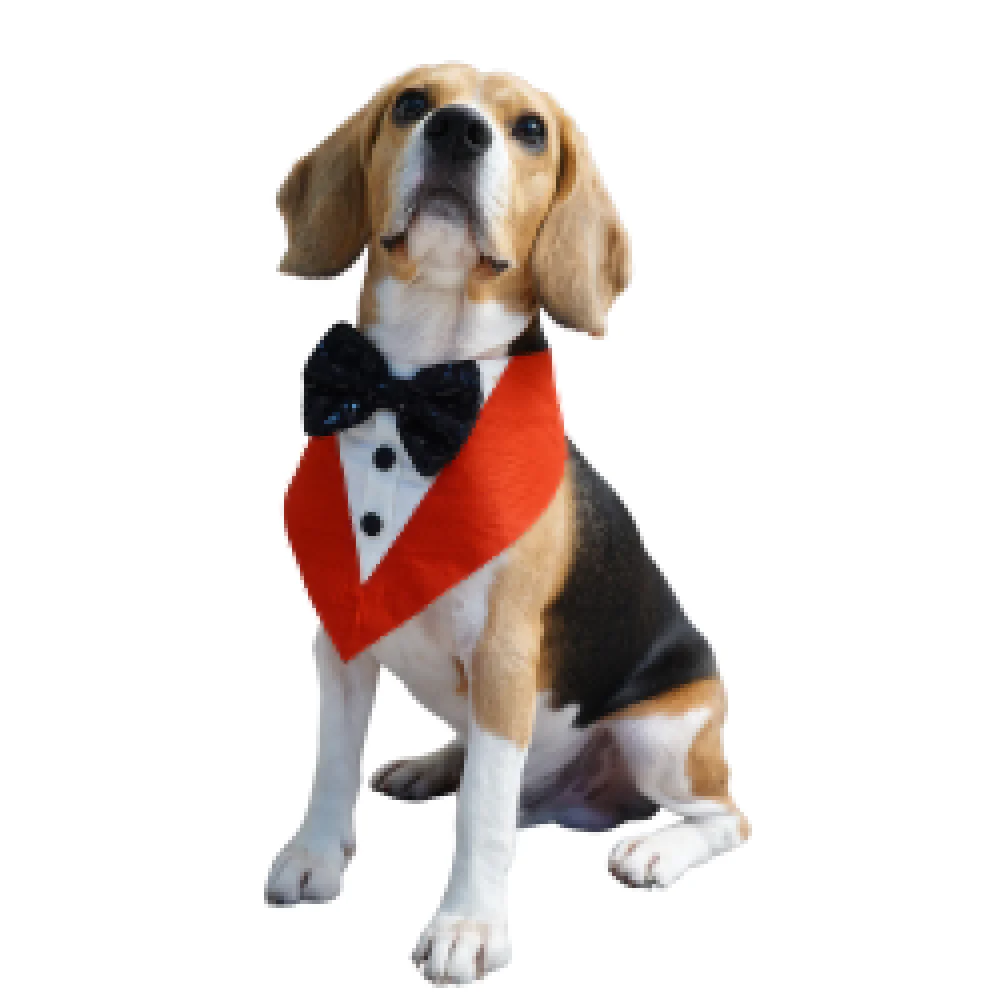 Floof & Co Tux Bandana Triangle for Dogs (Red) - Image 5