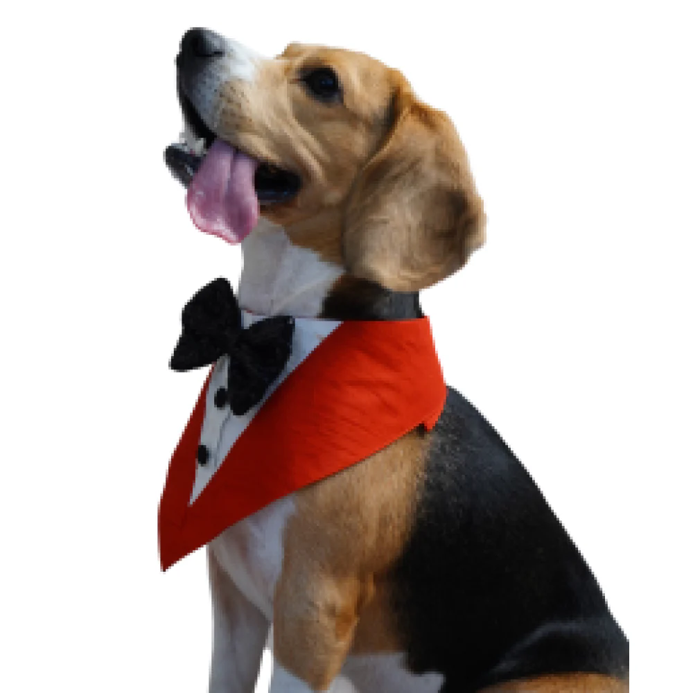 Floof & Co Tux Bandana Triangle for Dogs (Red) - Image 6