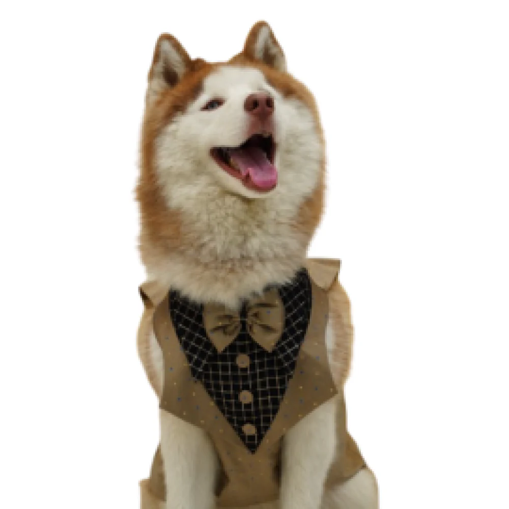 Floof & Co Tuxedo for Dogs (Khaki) - Image 5