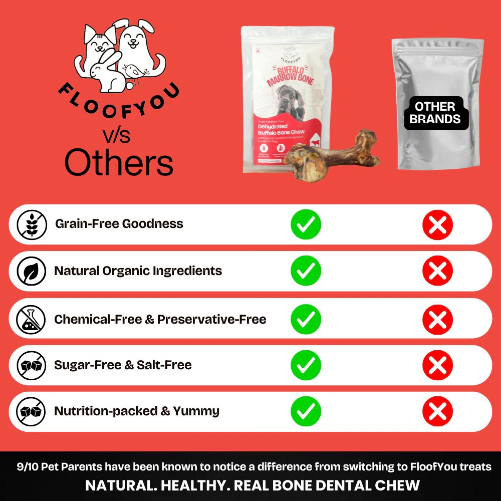 FloofYou Air Dried Buffalo Marrow Bone Chew Dog Treats - Image 5