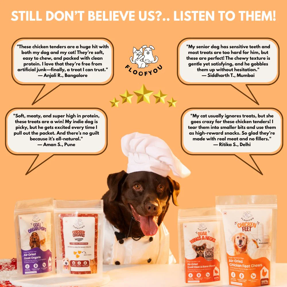FloofYou Air Dried Chewy Chicken Tender Dogs & Cats Treat - Image 2