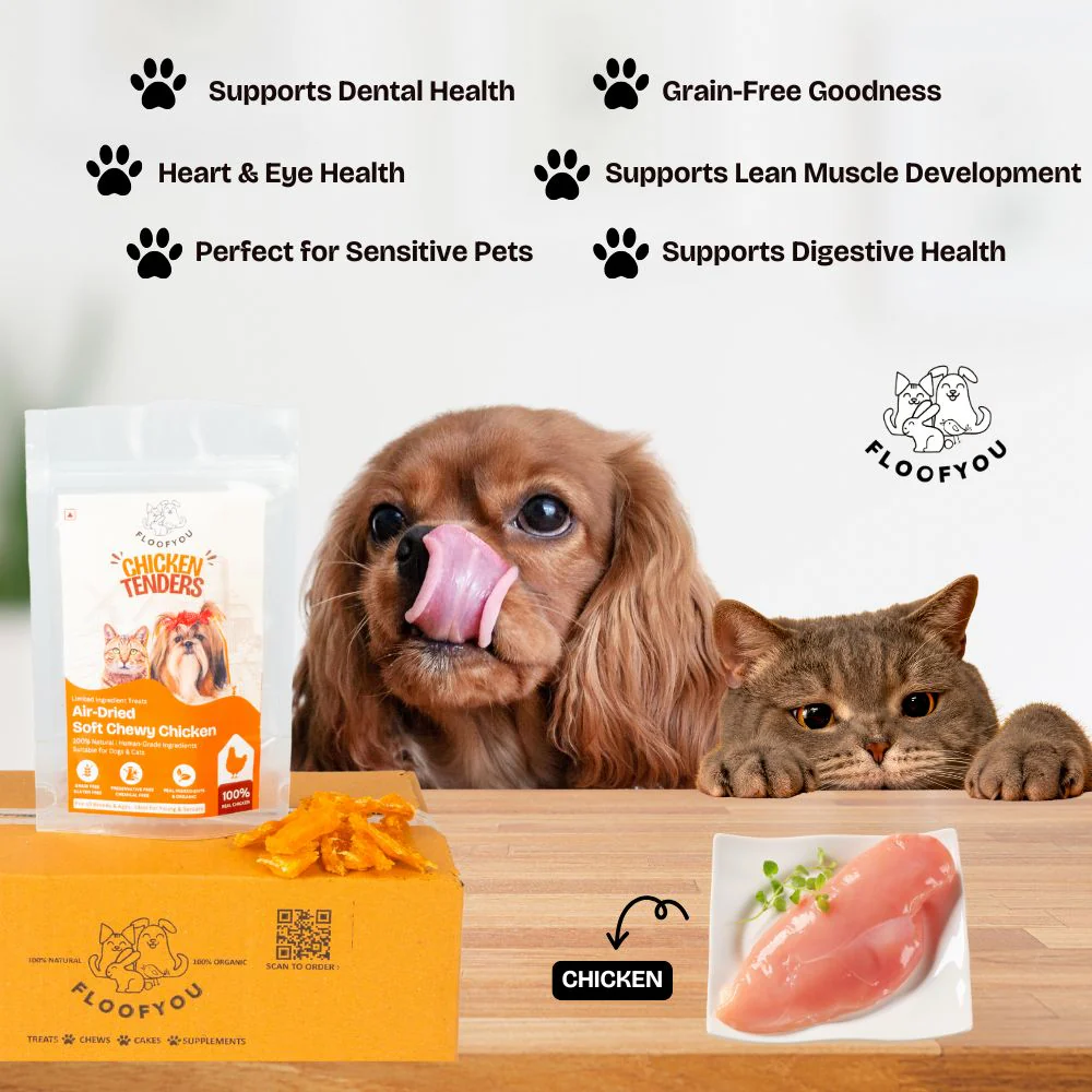 FloofYou Air Dried Chewy Chicken Tender Dogs & Cats Treat - Image 3