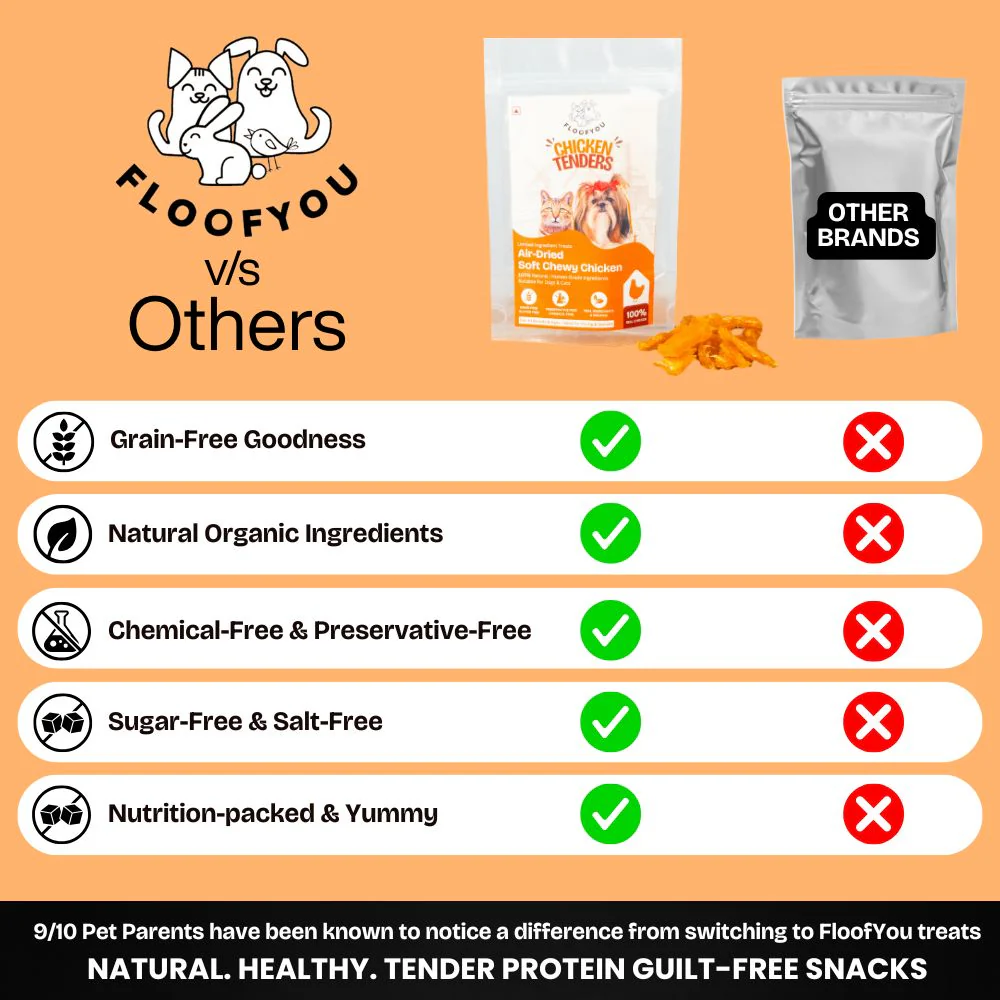 FloofYou Air Dried Chewy Chicken Tender Dogs & Cats Treat - Image 4