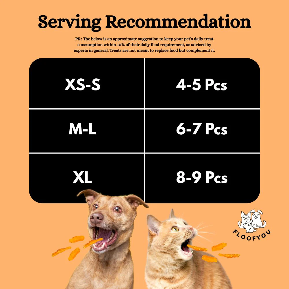 FloofYou Air Dried Chewy Chicken Tender Dogs & Cats Treat - Image 6
