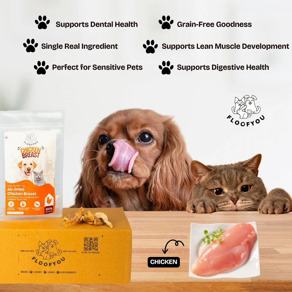 FloofYou Air Dried Chicken Breast Jerky Dogs and Cats Treat - Image 2