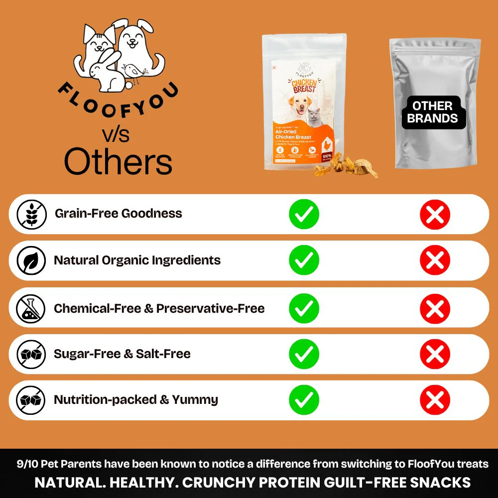 FloofYou Air Dried Chicken Breast Jerky Dogs and Cats Treat - Image 3