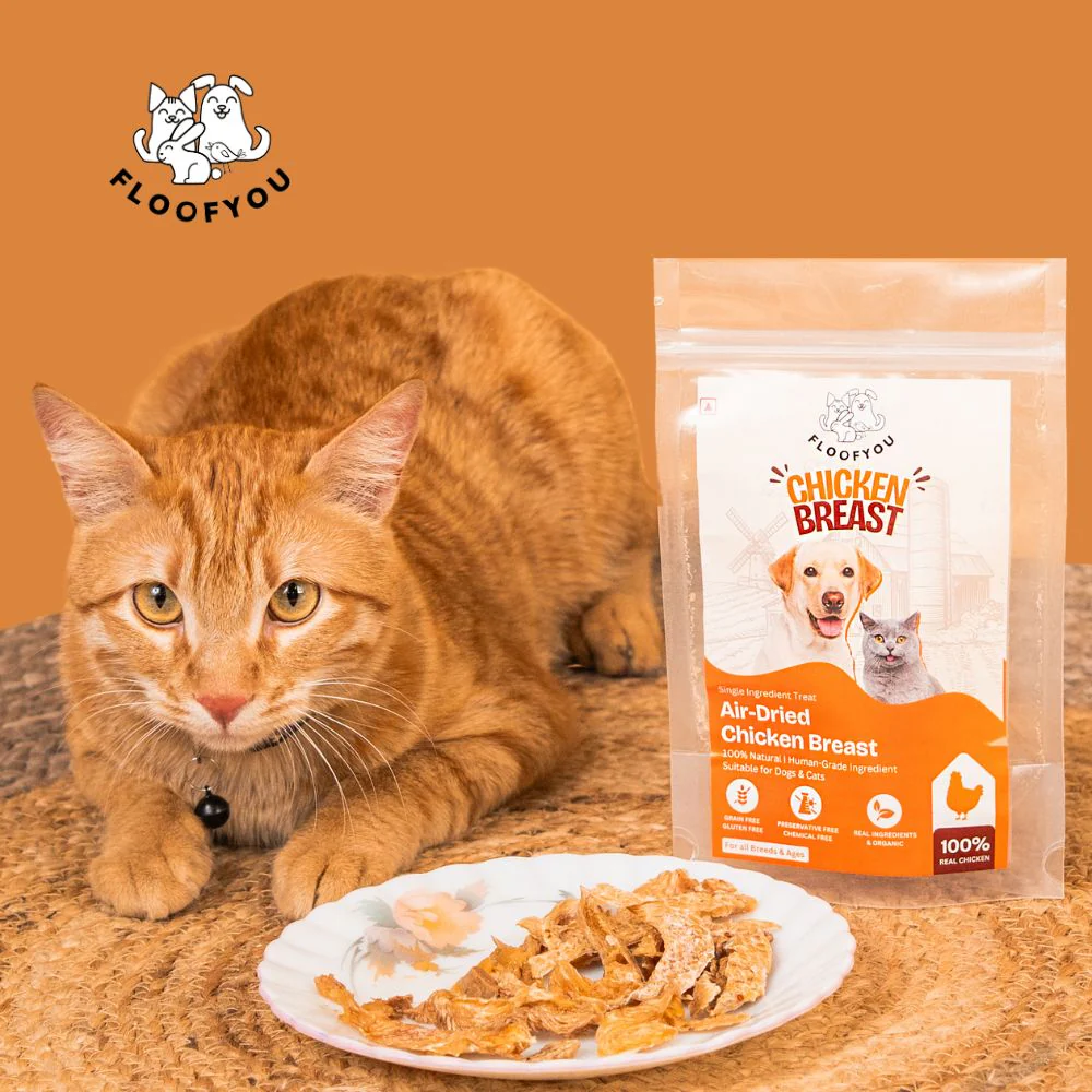 FloofYou Air Dried Chicken Breast Jerky Dogs and Cats Treat - Image 7