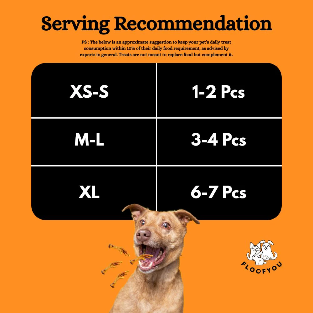 FloofYou Air Dried Chicken Feet Grain Free Chew Dog Treats - Image 2