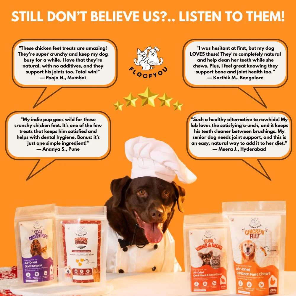FloofYou Air Dried Chicken Feet Grain Free Chew Dog Treats - Image 3