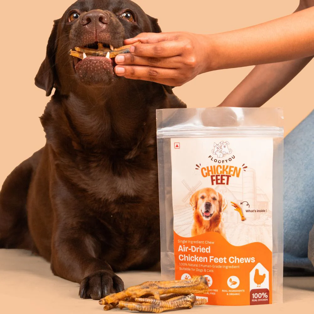 FloofYou Air Dried Chicken Feet Grain Free Chew Dog Treats - Image 4