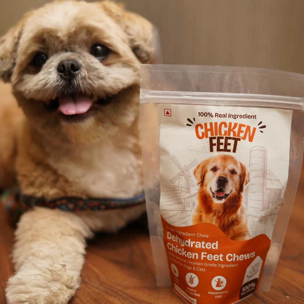 FloofYou Air Dried Chicken Feet Grain Free Chew Dog Treats - Image 5