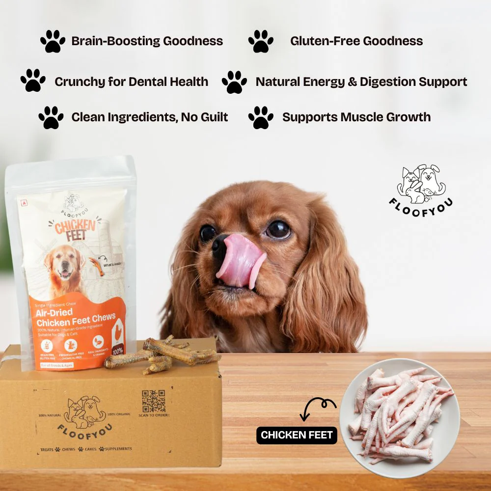 FloofYou Air Dried Chicken Feet Grain Free Chew Dog Treats - Image 8