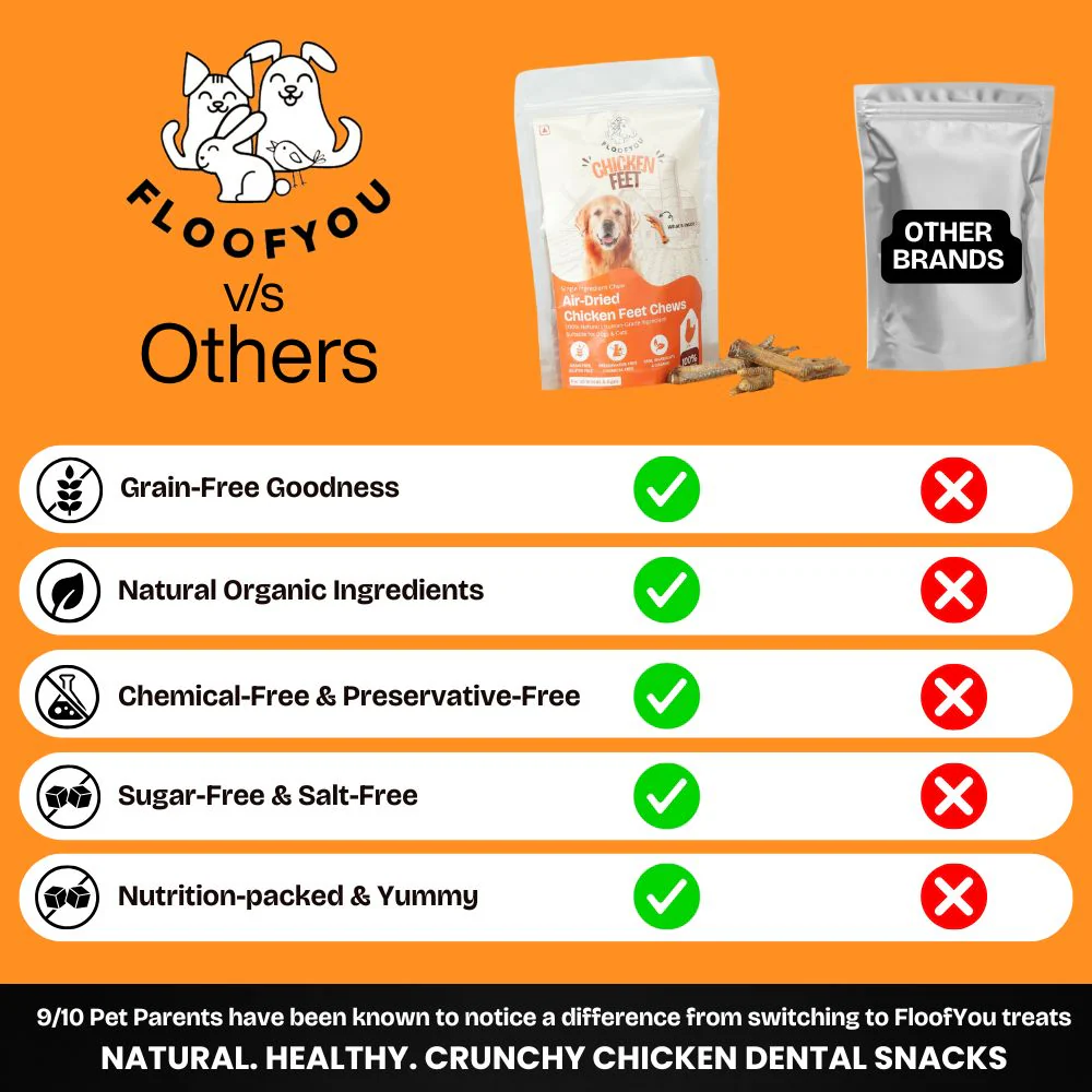 FloofYou Air Dried Chicken Feet Grain Free Chew Dog Treats - Image 9
