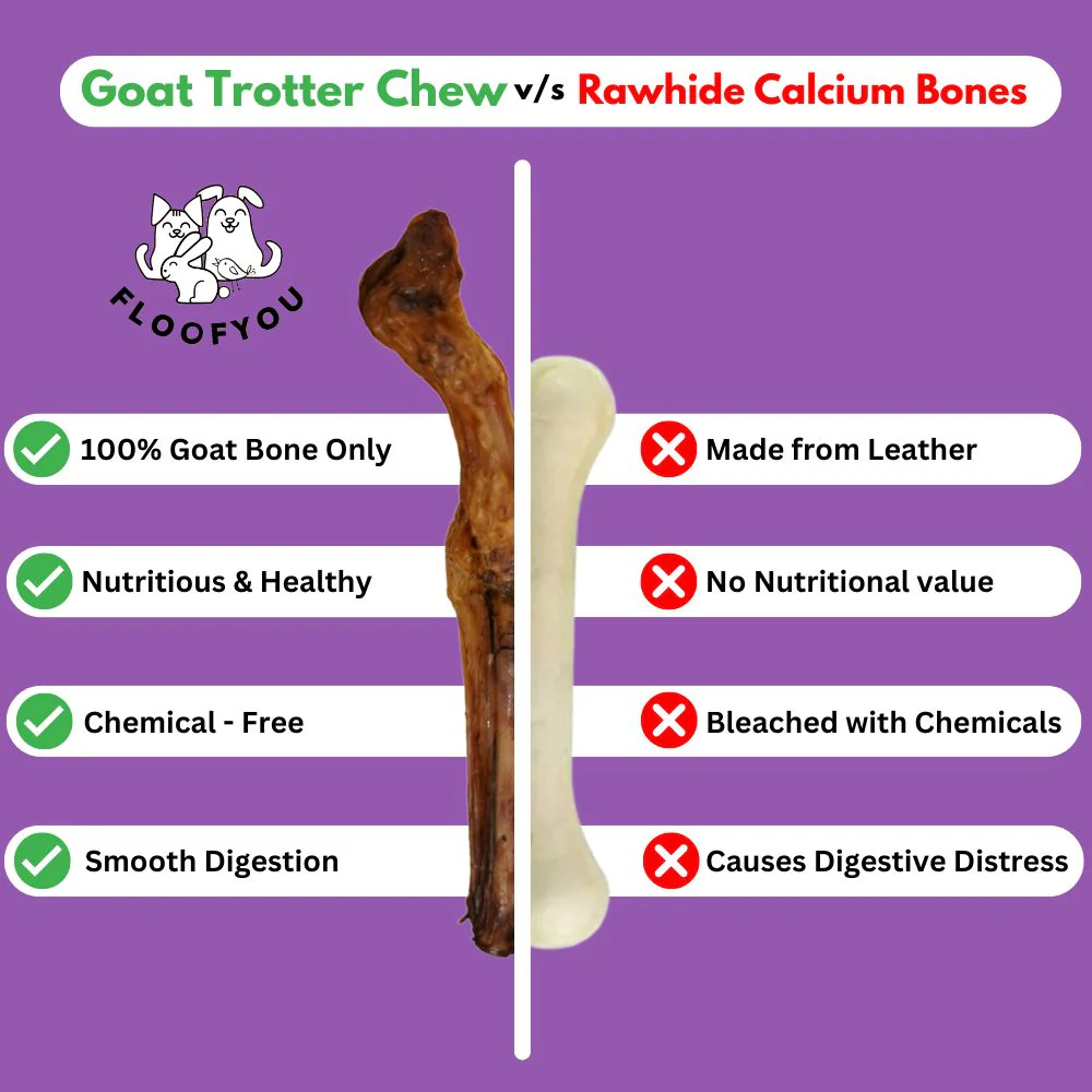 FloofYou Air Dried Goat Trotter Bone Chew Dog Treats - Image 2