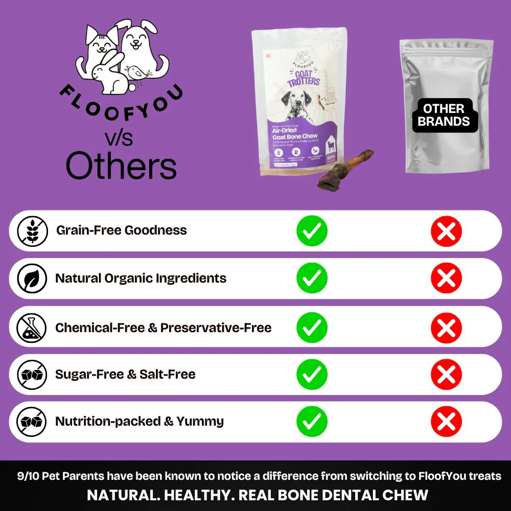 FloofYou Air Dried Goat Trotter Bone Chew Dog Treats - Image 3