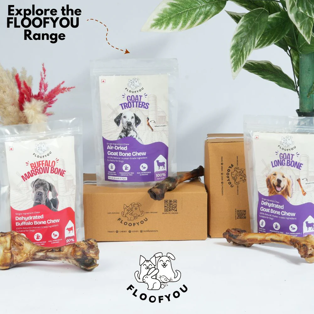 FloofYou Air Dried Goat Trotter Bone Chew Dog Treats - Image 8