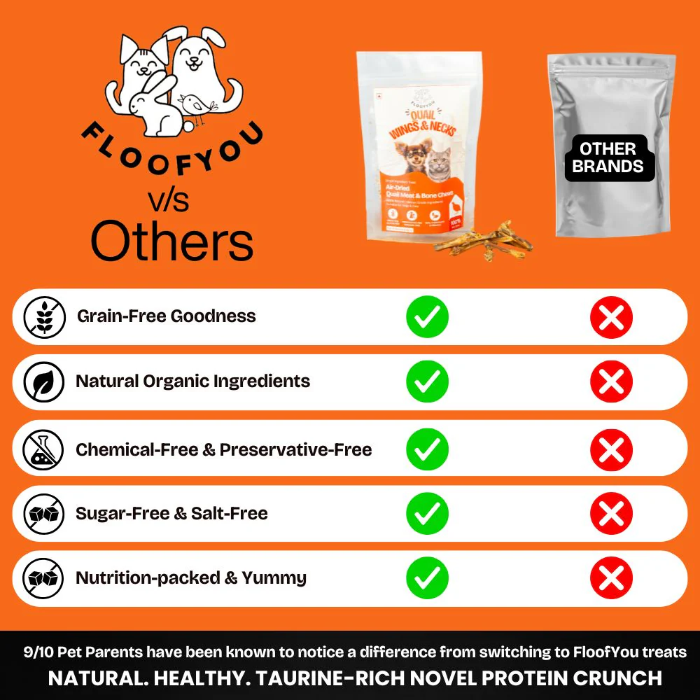 FloofYou Air Dried Quail Wings and Neck Chews Dog and Cats Treats - Image 3
