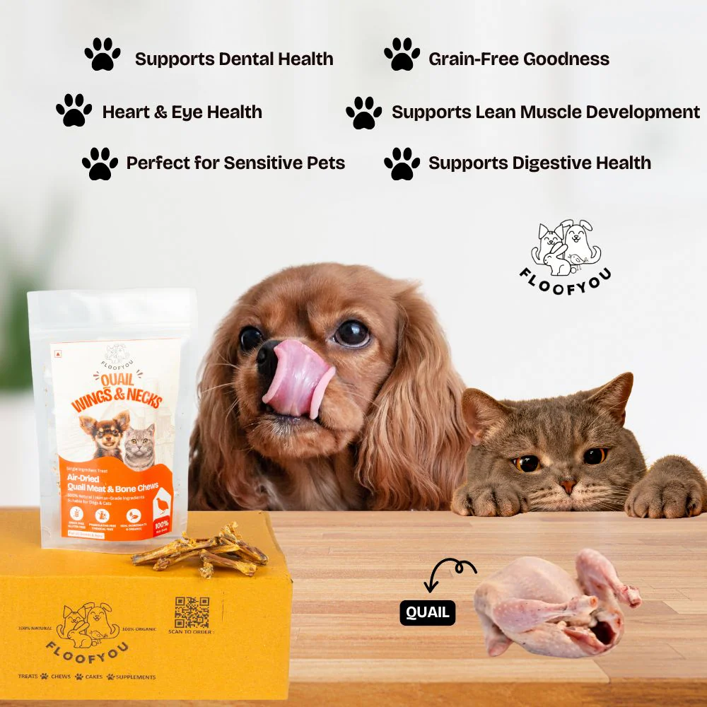 FloofYou Air Dried Quail Wings and Neck Chews Dog and Cats Treats - Image 5