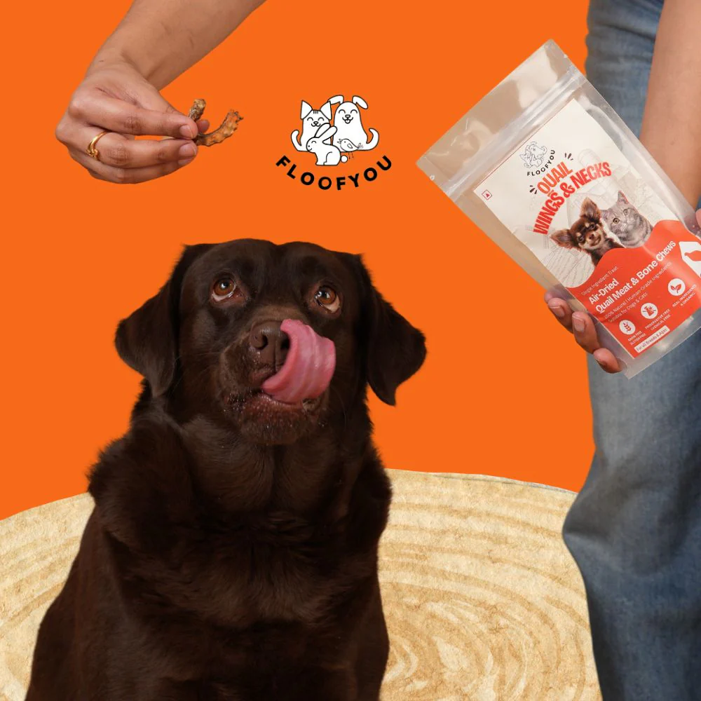 FloofYou Air Dried Quail Wings and Neck Chews Dog and Cats Treats - Image 8
