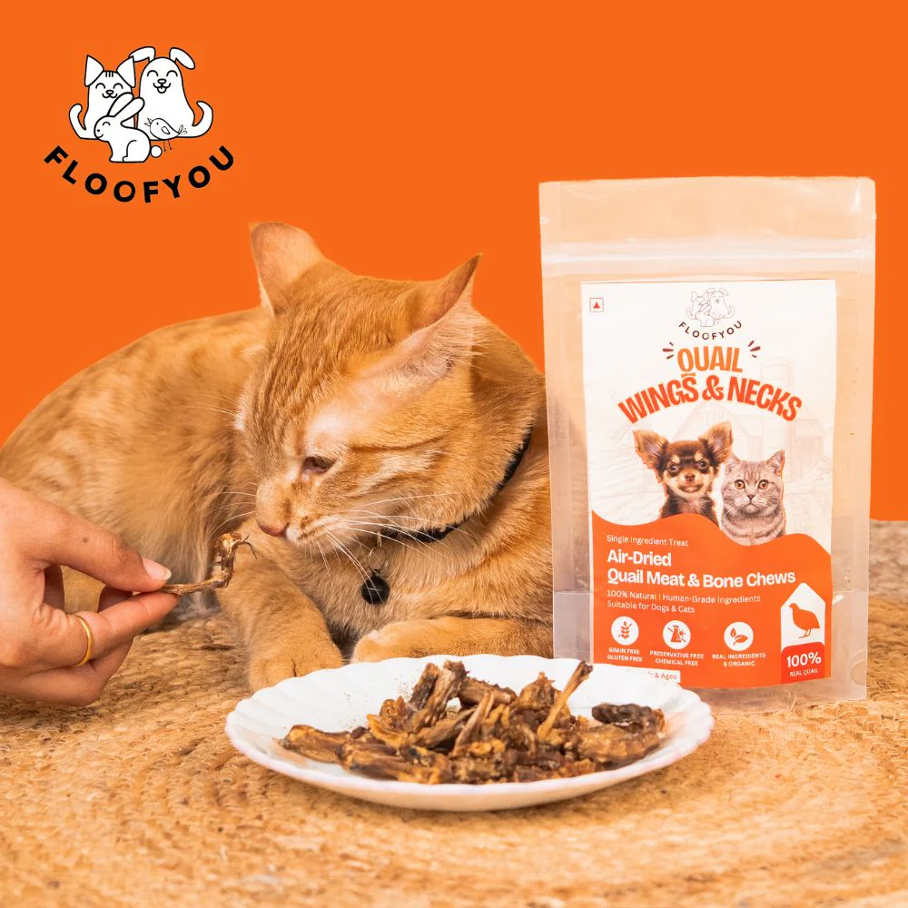 FloofYou Air Dried Quail Wings and Neck Chews Dog and Cats Treats - Image 9
