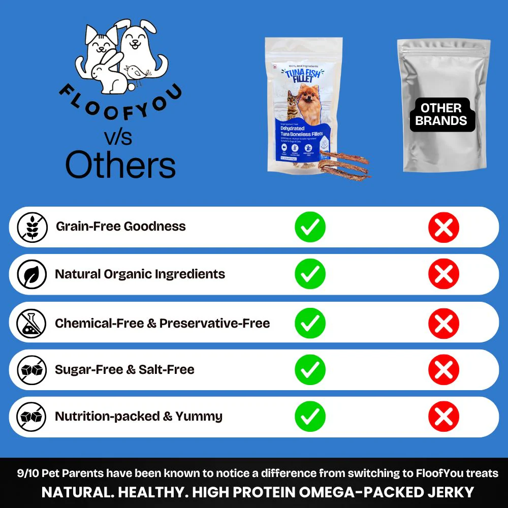 FloofYou Air Dried Tuna Fish Fillet Dogs & Cats Treat - Image 3