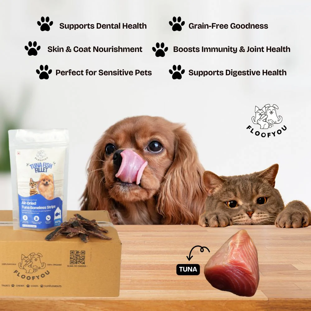 FloofYou Air Dried Tuna Fish Fillet Dogs & Cats Treat - Image 4