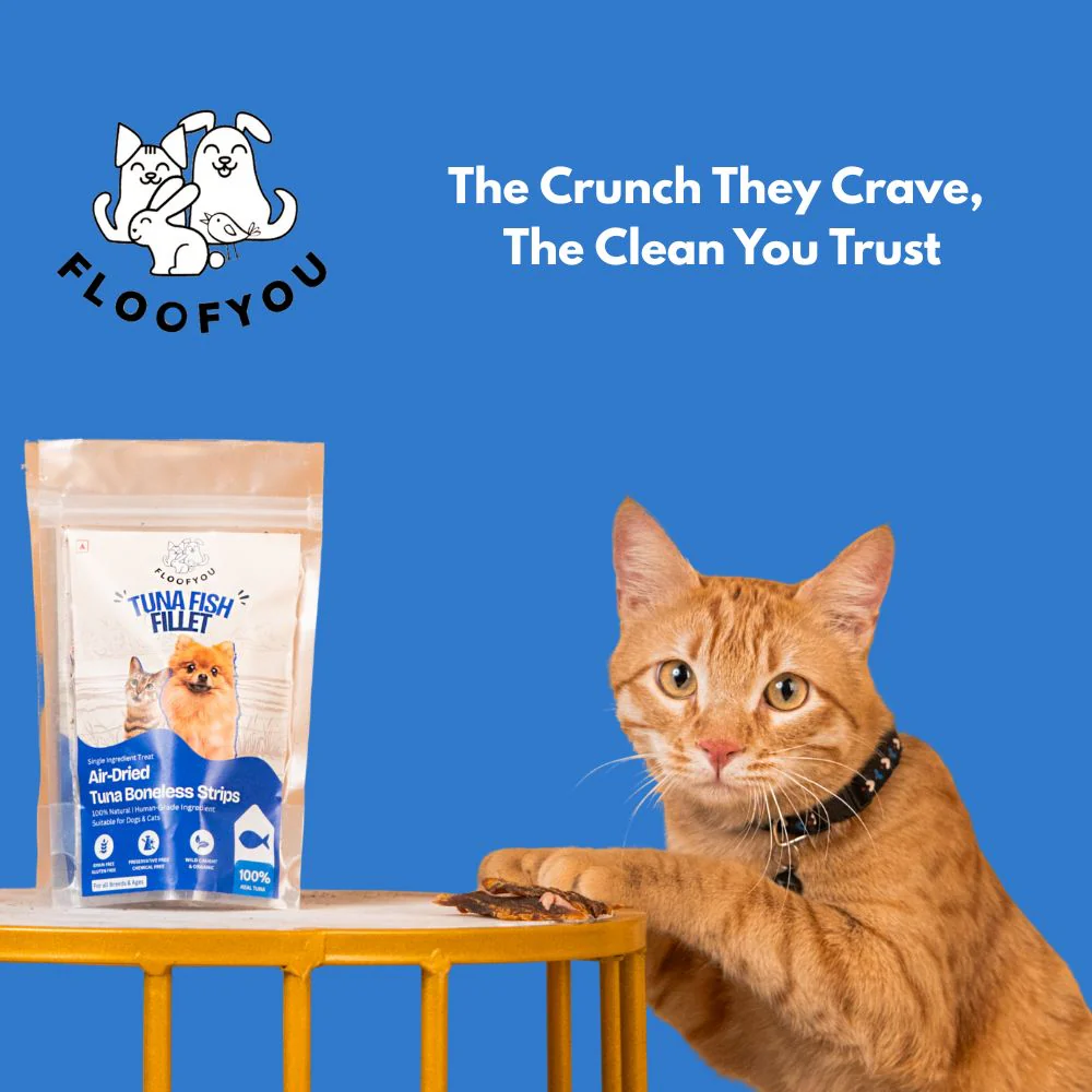 FloofYou Air Dried Tuna Fish Fillet Dogs & Cats Treat - Image 6