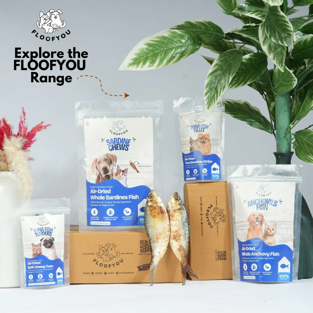 FloofYou Air Dried Tuna Fish Fillet Dogs & Cats Treat - Image 8