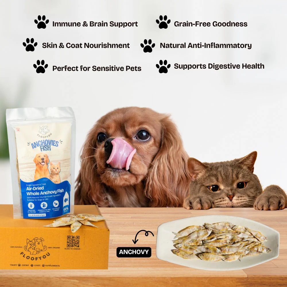 FloofYou Air Dried Whole Anchovy Fish Dog and Cats Treats - Image 3