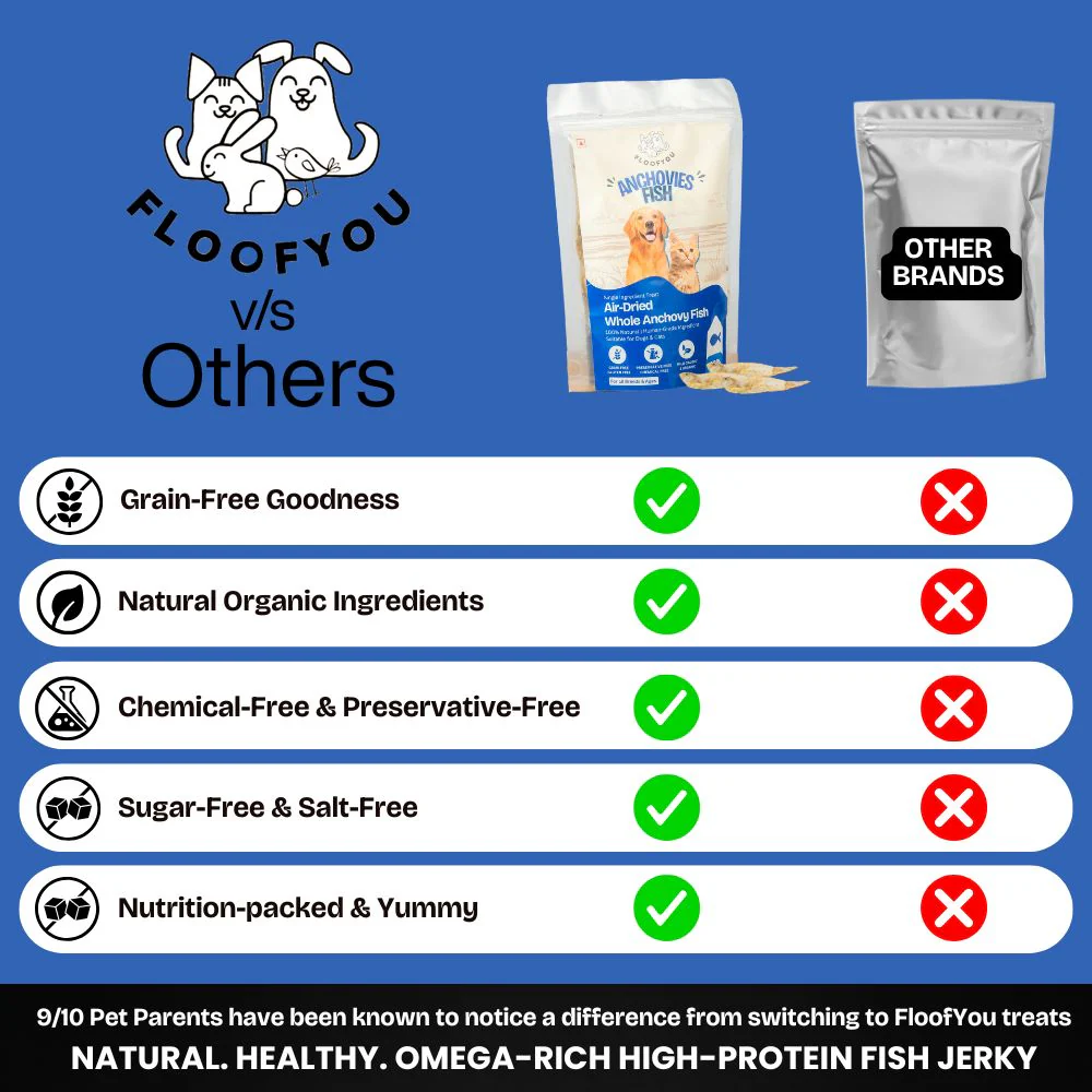 FloofYou Air Dried Whole Anchovy Fish Dog and Cats Treats - Image 4