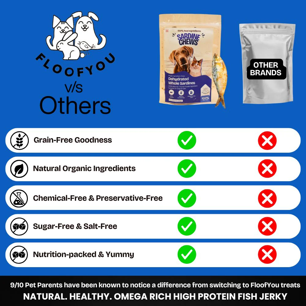 FloofYou Air Dried Whole Sardines Fish Dog & Cat Treats - Image 3