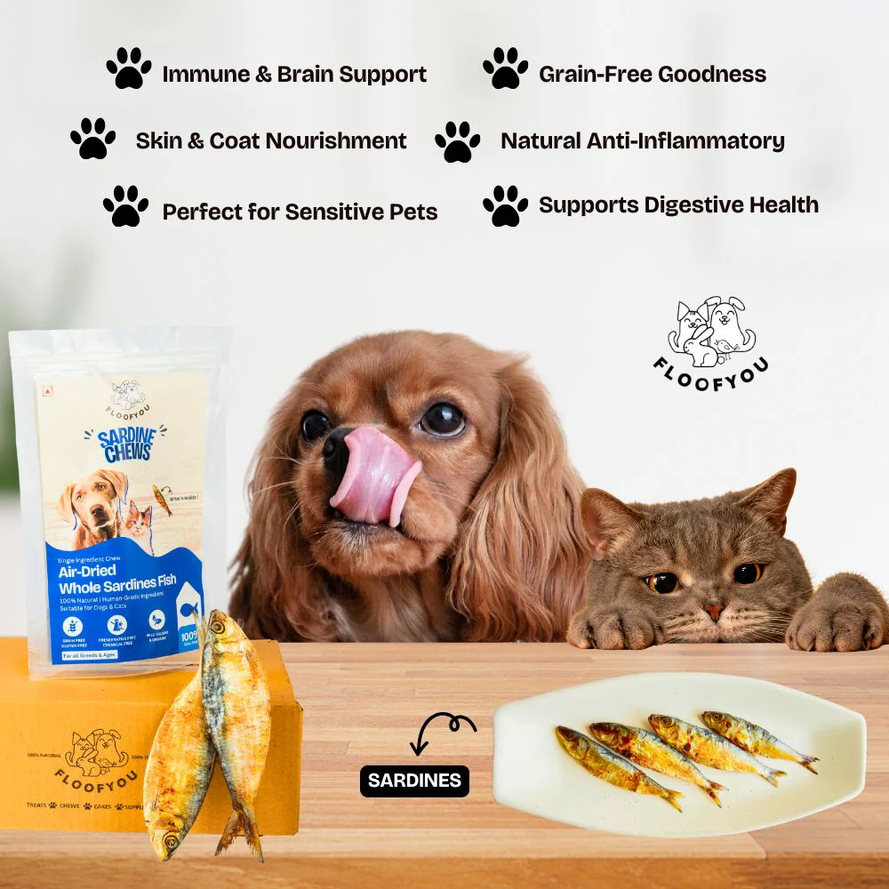 FloofYou Air Dried Whole Sardines Fish Dog & Cat Treats - Image 5