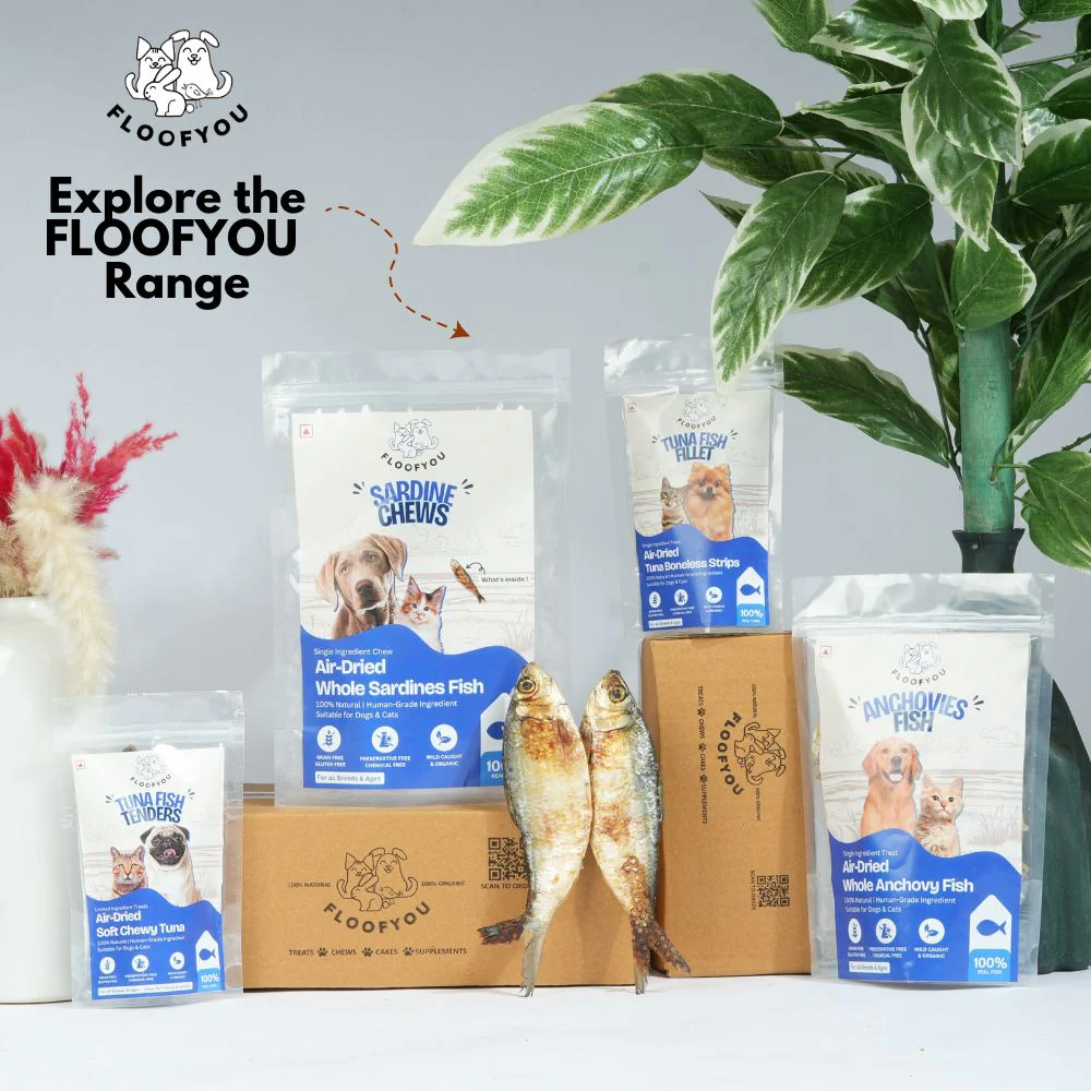 FloofYou Air Dried Whole Sardines Fish Dog & Cat Treats - Image 6