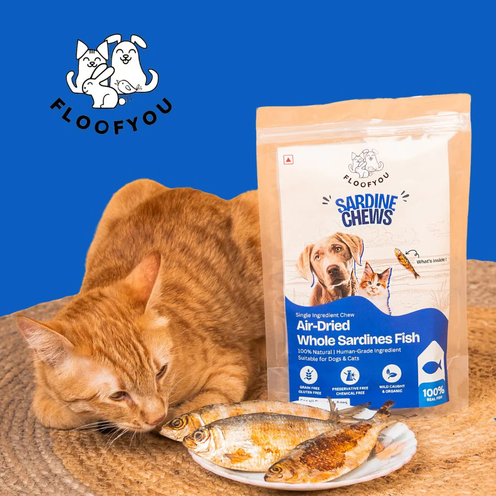 FloofYou Air Dried Whole Sardines Fish Dog & Cat Treats - Image 7