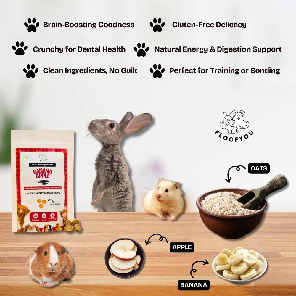 FloofYou Oven Baked Banana Apple Small Animal Treats - Image 6