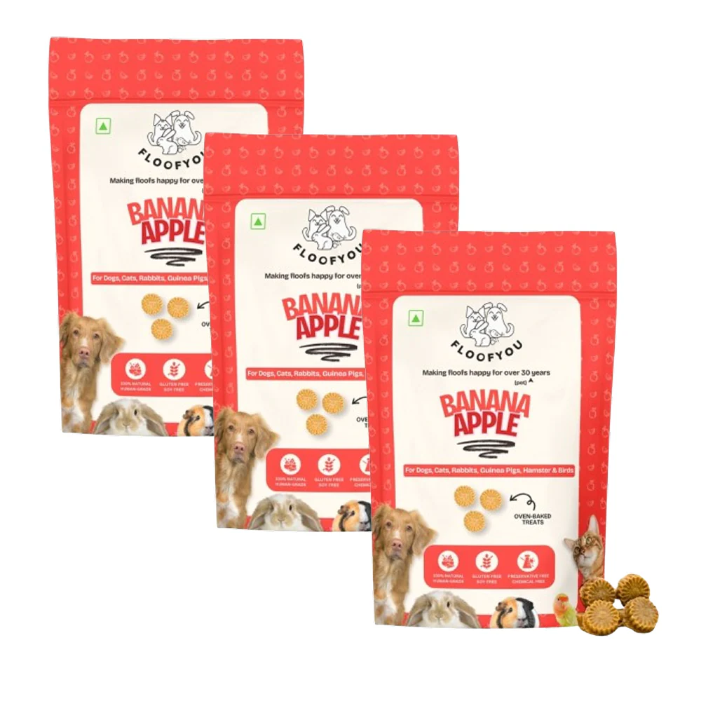 FloofYou Oven Baked Banana Apple Small Animal Treats - Image 9