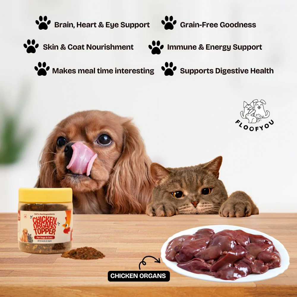 FloofYou Chicken Organs Topper for Dogs & Cats - Image 5