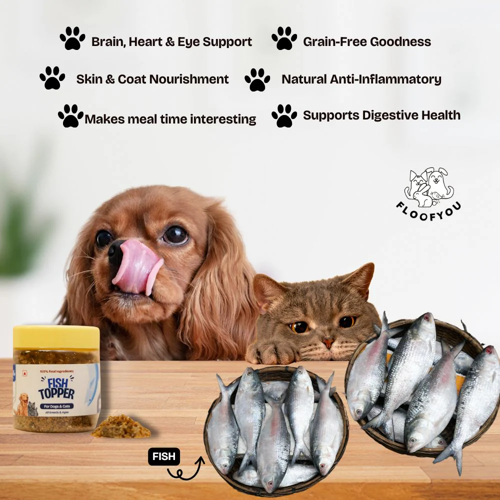 FloofYou Fish Topper for Dogs & Cats - Image 5