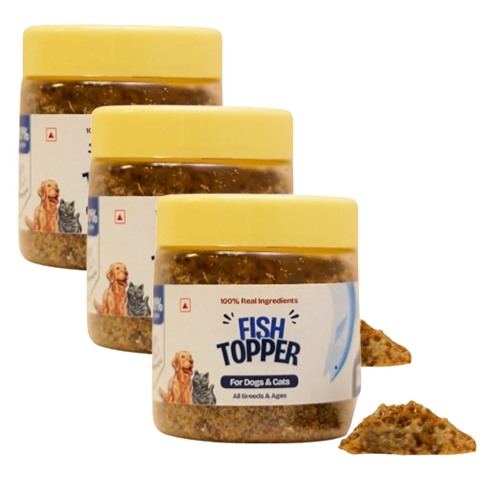 FloofYou Fish Topper for Dogs & Cats - Image 8