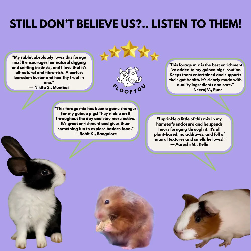 FloofYou Fibre Rich Forage Mix Rabbit Treats - Image 3